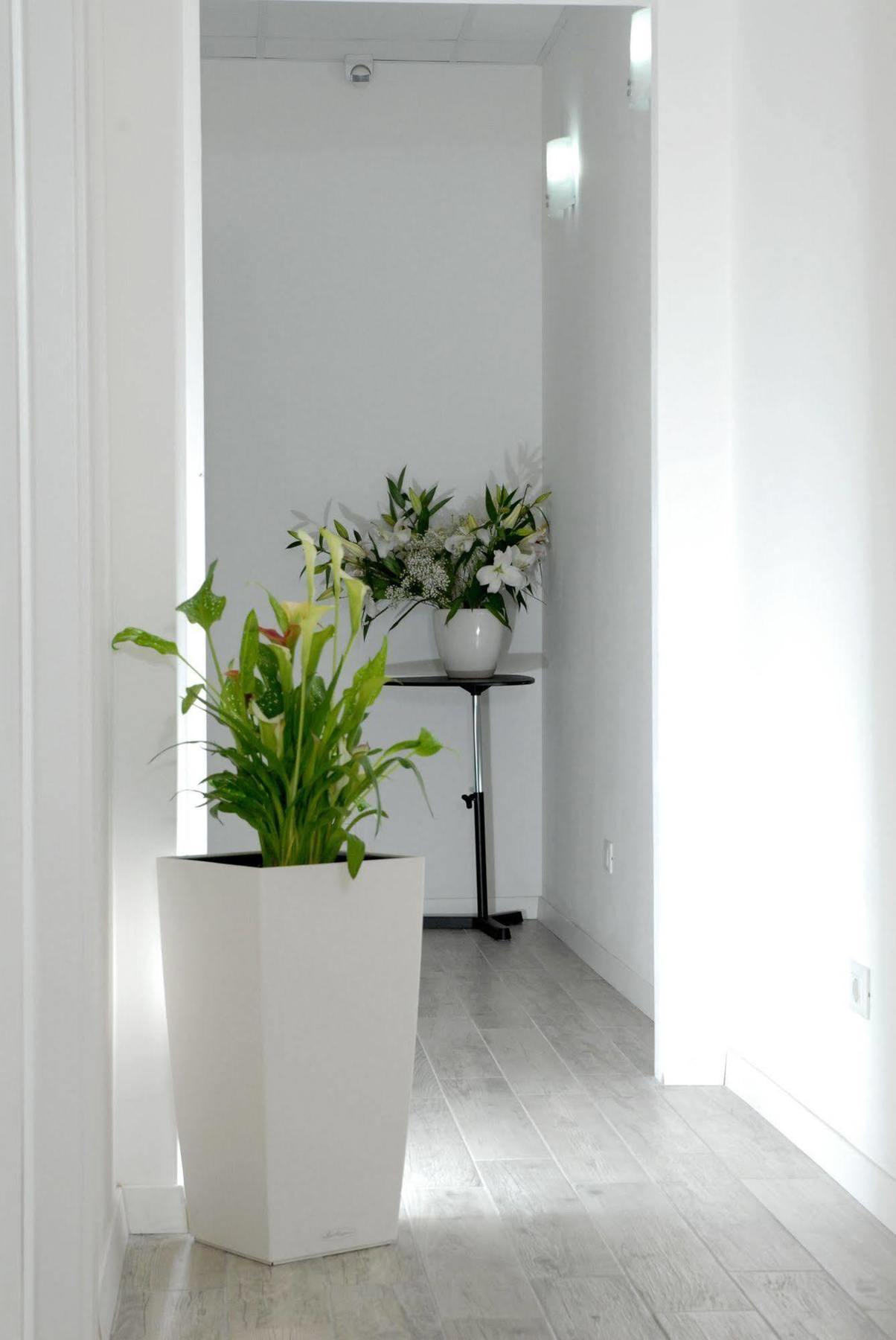 Gardenia Suite Rom Eksteriør billede